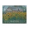 Trademark Fine Art Marnie Bourque 'Sunflower Seeds' Canvas Art, 24x32 ALI44470-C2432GG